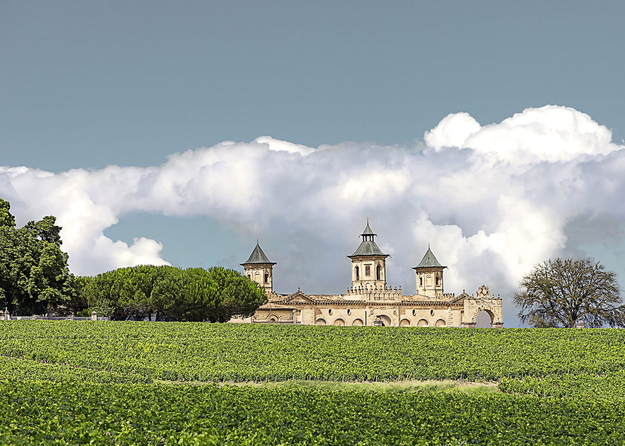 Left-Bank Bordeaux vs. Pride Mountain Vineyards
